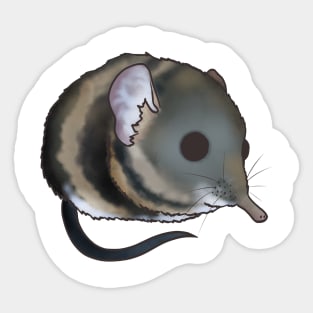 Elephant Shrew Sticker